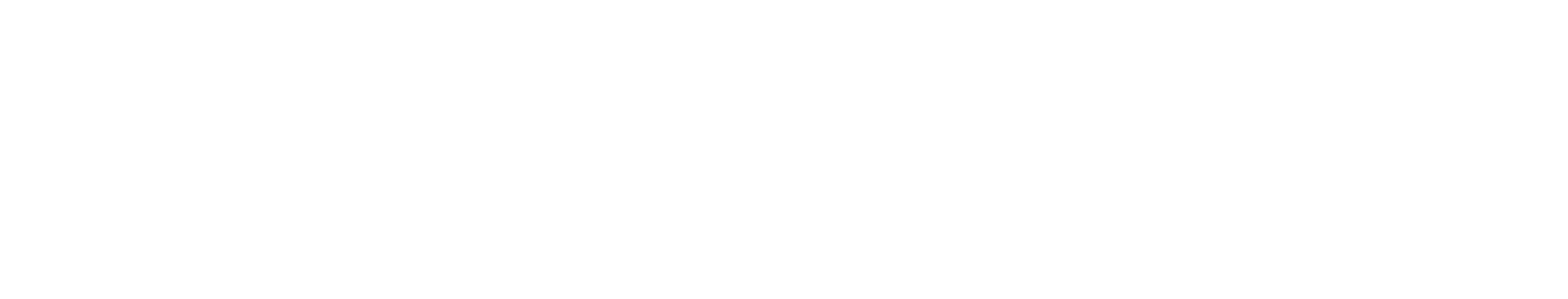Seldon（セルダン）
